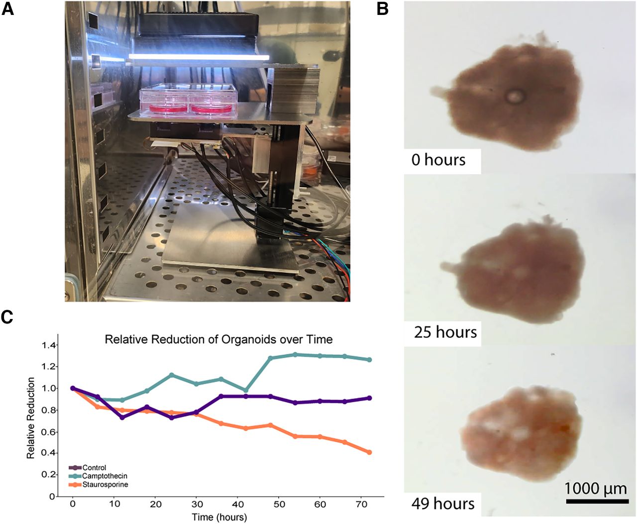 Figure from Elliott et al. which features prototype of microscope.